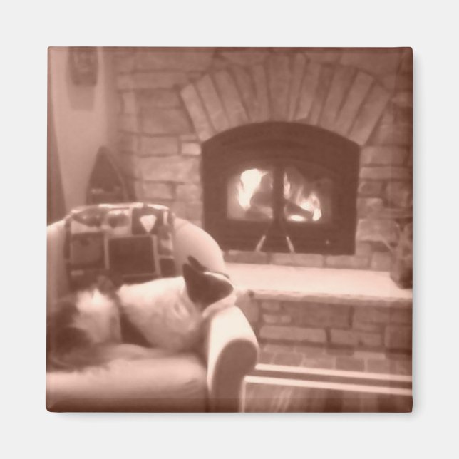 Cassie Magnet (Vorne)