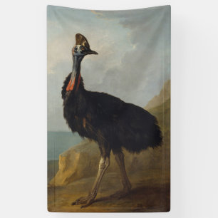 Cassowary (Australian Bird) (Wild Animal Art) Banner