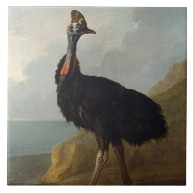 Cassowary (Australian Bird) (Wild Animal Art) Fliese (Vorderseite)