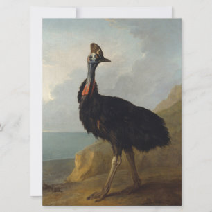Cassowary (Australian Bird) (Wild Animal Art) Karte