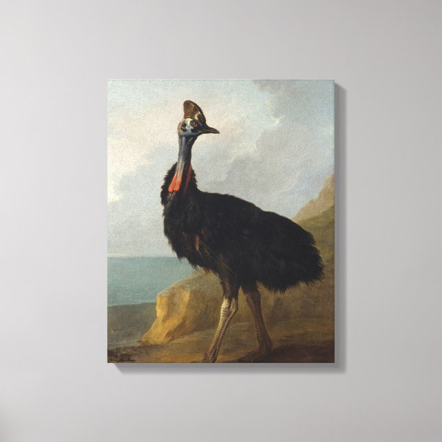Cassowary (Australian Bird) (Wild Animal Art) Leinwanddruck (Vorderseite)