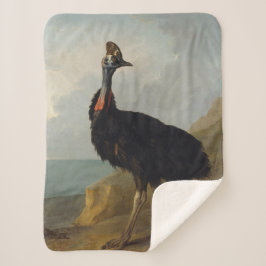 Cassowary (Australian Bird) (Wild Animal Art) Sherpadecke