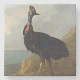 Cassowary (Australian Bird) (Wild Animal Art) Steinuntersetzer