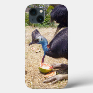 Cassowary Bird Eating Melons, iPhone 13 Fall Case-Mate iPhone Hülle