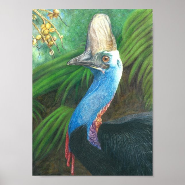 Cassowary Hand bemalt Original Art Poster. Poster (Vorne)