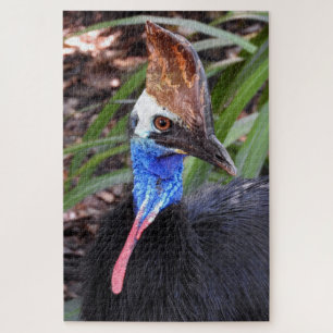 Cassowary Puzzle