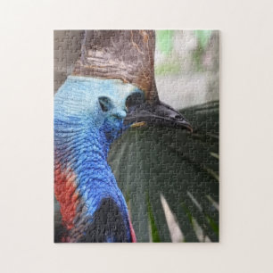 Cassowary-Puzzlespiel Puzzle