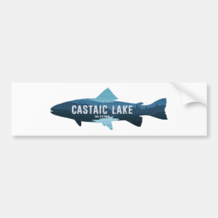 Castaic Lake Kalifornien Fische Autoaufkleber