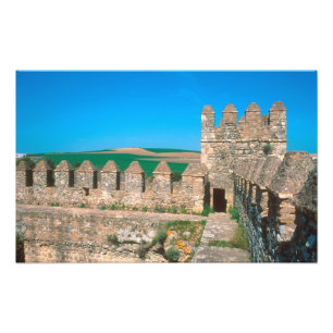Castillo de Las Aguzaderas ist eine Burg mit einer Fotodruck