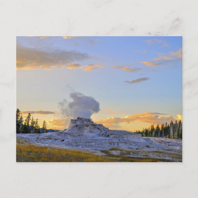 Castle Geyser at Sunset, Yellowstone National Park Postkarte (Vorderseite)