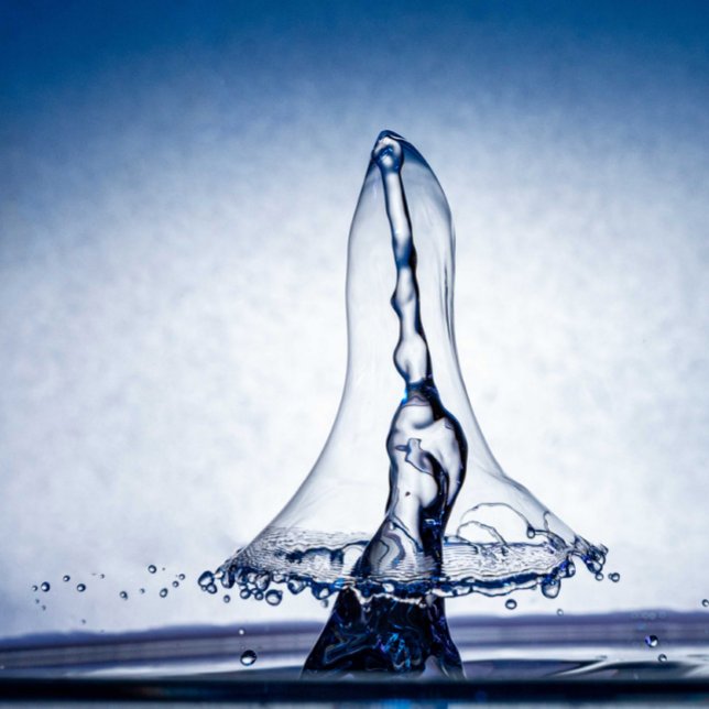 Castle in a Teacup – A Fantasy World in Miniature Poster (Von Creator hochgeladen)