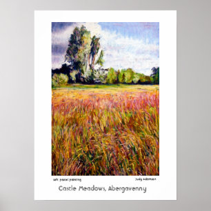 Castle Meadows, Abergavenny Print oder Poster