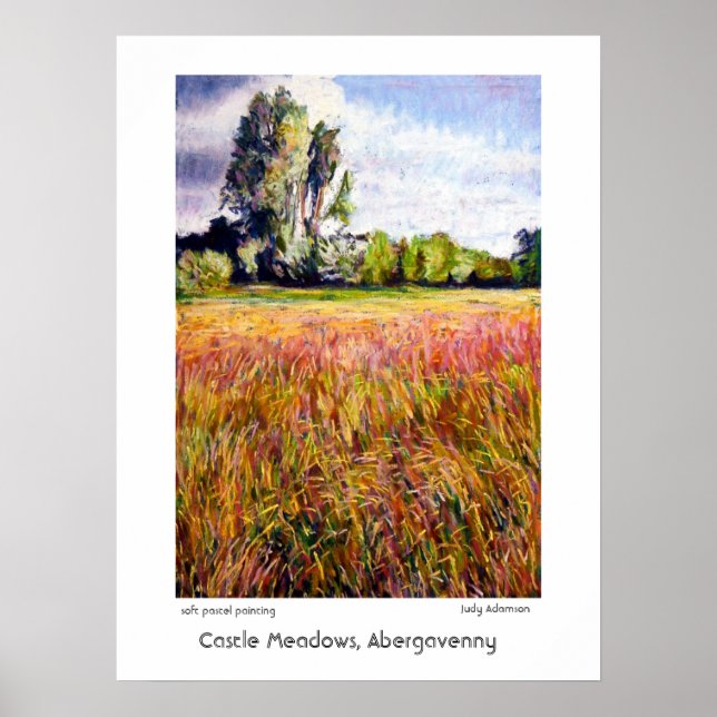 Castle Meadows, Abergavenny Print oder Poster (Vorne)
