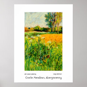 Castle Meadows, Abergavenny Print oder Poster