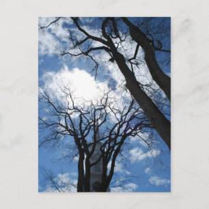 Castle Postcard - 2 Postkarte