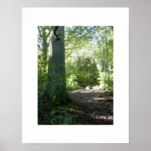 Castlehead Wood: Keswick Poster (Vorne)