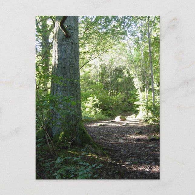 Castlehead Wood: Keswick Postkarte (Vorderseite)
