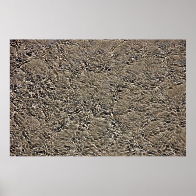 Castlepoint Poster (Vorne)