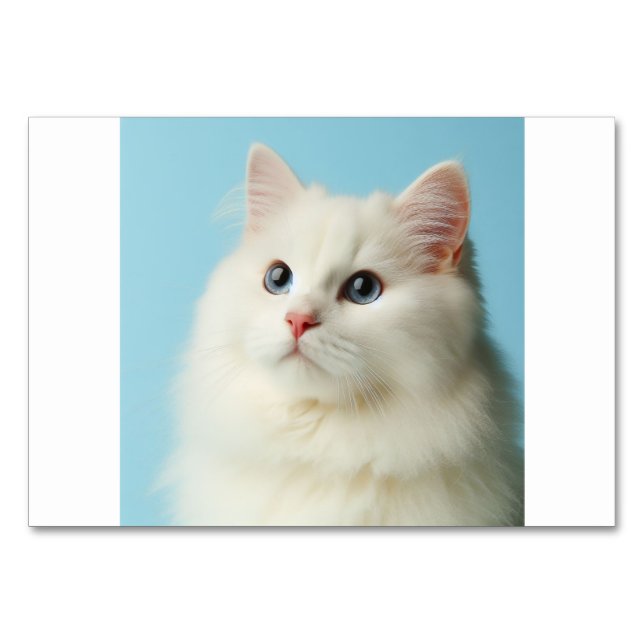 Cat (猫 / ね こ) - Japanische Flash Cards Tischnummer (Vorderseite)