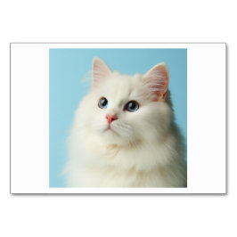 Cat (고 양 이) - Koreanische Flash Cards Tischnummer
