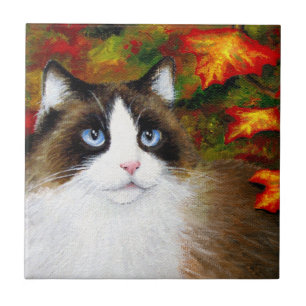 Cat 566 Herbst Herbst Fliese