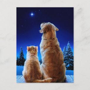 Cat and Dog Christmas Miracle Einladungspostkarte