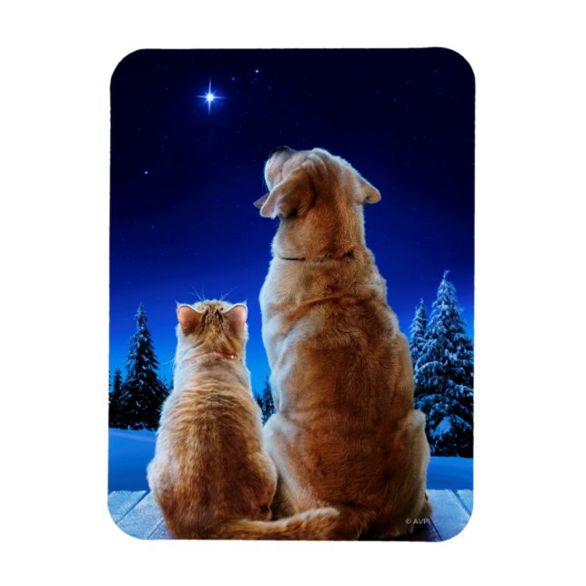 Cat and Dog Christmas Miracle Magnet (Vertikal)