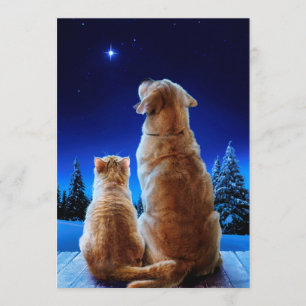 Cat and Dog Christmas Wunder Einladung