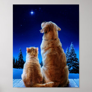 Cat and Dog Christmas Wunder Poster