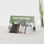 Cat and Eichhörnchen Funny Birthday Karte<br><div class="desc">Senden Sie einen niedlichen und unterhaltsamen Geburtstagsgruß mit dieser lustigen Karte. Rupie beobachtet seine Nemesis durch das Fenster,  oder es könnte umgekehrt sein. Personalisieren Sie sich mit Ihren eigenen Worten und genießen Sie Spaß! Fotos ©Christine Greenspan</div>