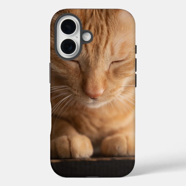 Cat Apple Iphone 16 Case (Rückseite)
