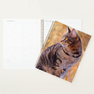 Cat Art Portrait Planer
