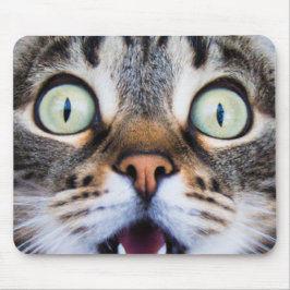 Cat Art | Überraschte Kitty | Funny Kitten Mousepa Mousepad