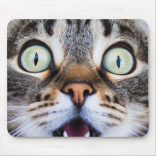 Cat Art   Überraschte Kitty   Funny Kitten Mousepa Mousepad
