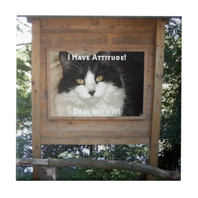 Cat Attitude Fliese (Vorderseite)