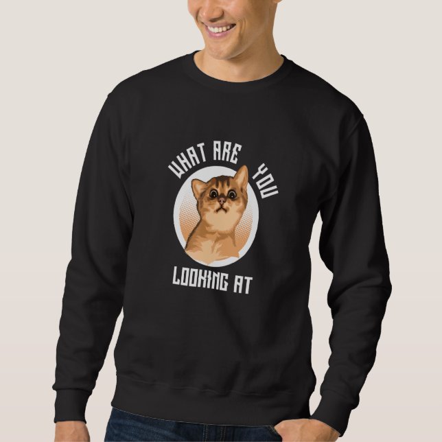 Cat Baby   What Are You Looking At Sweatshirt (Vorderseite)