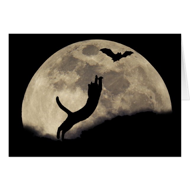 Cat Bat Moon (Vorderseite (Horizontal))