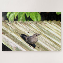 Cat Bird Puzzle