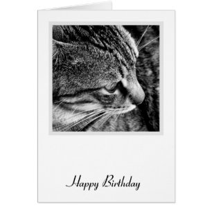 Cat Birthday Card
