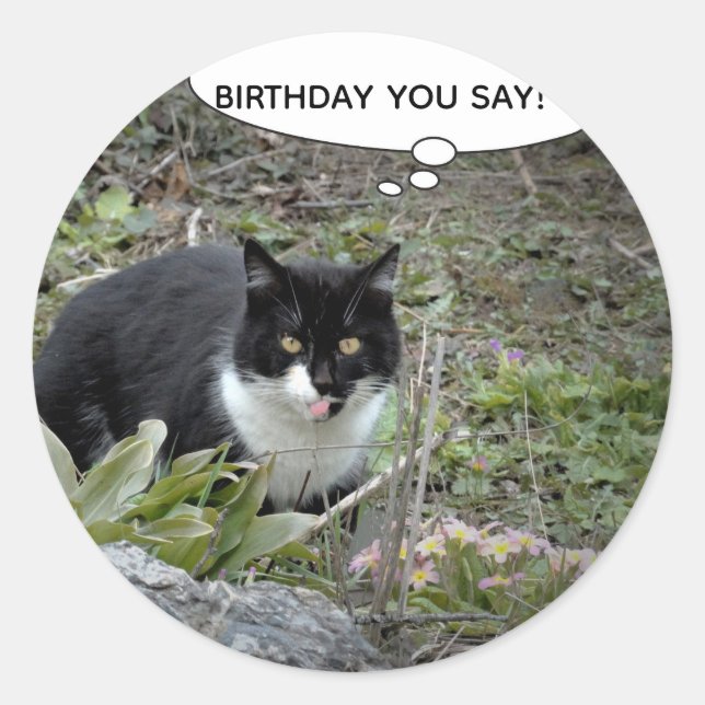 Cat Birthday Custom Text Classic Aufkleber (Vorderseite)