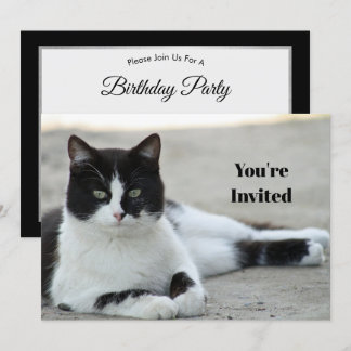 Cat Black and White Tuxedo Foto Geburtstag Einladung