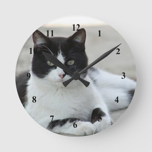 Cat Black and White Tuxedo Foto Runde Wanduhr (Vorderseite)