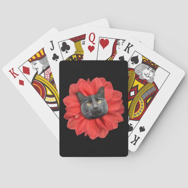 "Cat Blume" Spielkarten, Standardindexseiten Spielkarten (Rückseite)
