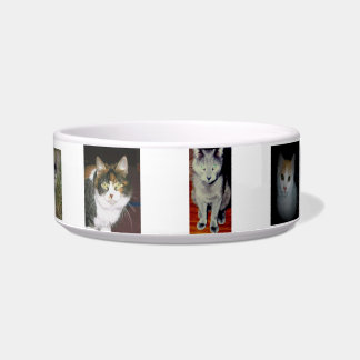 Cat Bowl Napf