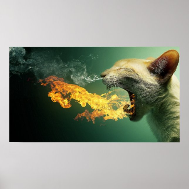 Cat Breaaament Fire Poster (Vorne)