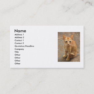 Cat Business Card Visitenkarte