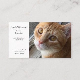 Cat by window Business Card Visitenkarte