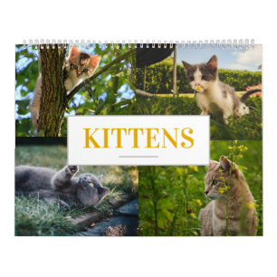 Cat Calendar Felines Calendar Zuhause Wand an Wand Kalender