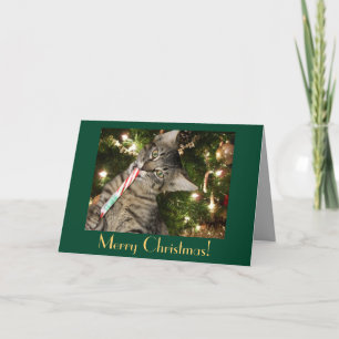 Cat Candy Cane Blank Weihnachtskarte Feiertagskarte