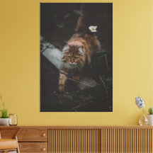 Cat Canvas Print Picture 17